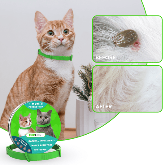 Chewy Nuzzly - 8 Months All Natural Flea and Tick Collar for Cats