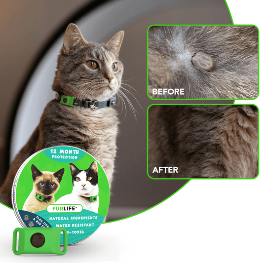 Chewy Nuzzly - 12 Months All Natural Flea and Tick Tags for Cats