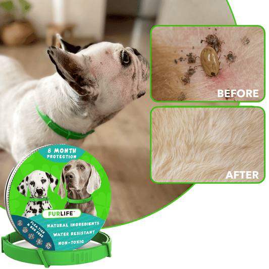 Chewy Nuzzly - 8 Months All Natural Flea and Tick Collar for Dogs
